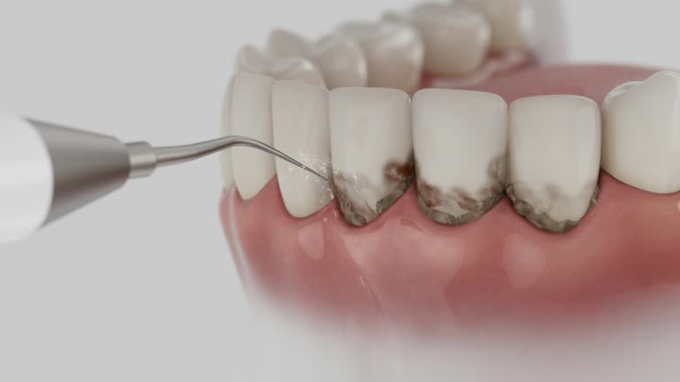 Reliable Emergency Dentist contractor in Salt Lake County County, UT by Dentist Open Now